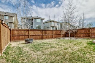 Photo 44: 107 Cranbrook Place SE in Calgary: Cranston Detached for sale : MLS®# A2045749