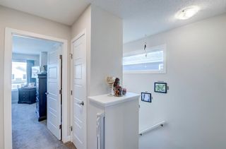 Photo 23: 73 Evanscrest Place NW in Calgary: Evanston Detached for sale : MLS®# A2010619