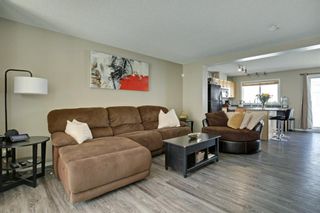 Photo 13: 240 MCKENZIE TOWNE Link SE in Calgary: McKenzie Towne Row/Townhouse for sale : MLS®# A1017413