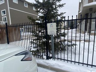 Photo 34: 2102 104 Willis Crescent in Saskatoon: Stonebridge Residential for sale : MLS®# SK914200