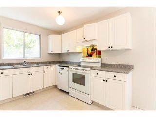 Photo 12: 115 PINESON Place NE in Calgary: Pineridge House for sale : MLS®# C4065261
