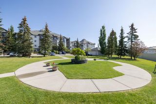 Photo 27: 204 55 Arbour Grove Close NW in Calgary: Arbour Lake Apartment for sale : MLS®# A2053299