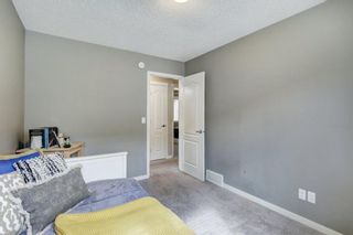 Photo 39: 198 Evansridge Circle NW in Calgary: Evanston Detached for sale : MLS®# A1200290