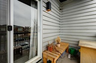 Photo 24: 203 2411 29 Street SW in Calgary: Killarney/Glengarry Apartment for sale : MLS®# A2128044