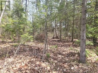 Photo 23: N/A Tobacco Lake Rd N in Gore Bay: Vacant Land for sale : MLS®# 2110842