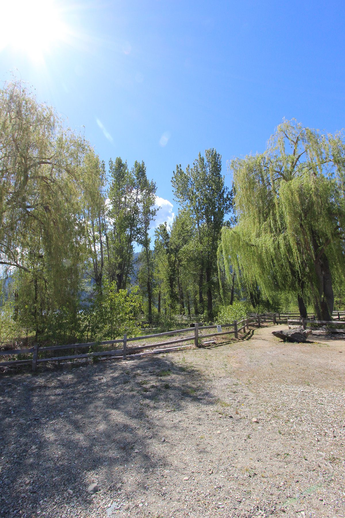 Photo 53: Photos: 13 Marina Way: Lee Creek Land Only for sale (North Shuswap)  : MLS®# 10245714