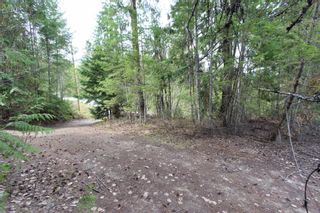Photo 17: 2388 Waverly Drive: Blind Bay Vacant Land for sale (South Shuswap)  : MLS®# 10201100