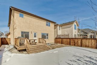 Photo 50: 17 Cranleigh Terrace SE in Calgary: Cranston Detached for sale : MLS®# A2034568