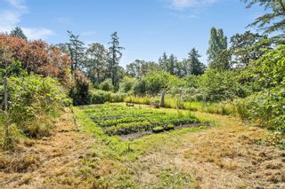 Photo 59: 4037 Holland Ave in Saanich: SW Strawberry Vale House for sale (Saanich West)  : MLS®# 911087