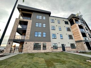 Photo 19: 103 55 Wolf Hollow Crescent SE in Calgary: Walden Apartment for sale : MLS®# A2106295