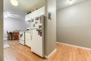 Photo 11: 111 3420 50 Street NW in Calgary: Varsity Apartment for sale : MLS®# A2114602
