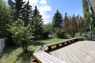 Photo 37: 203 Hampstead Circle NW in Calgary: Hamptons Detached for sale : MLS®# A2053059