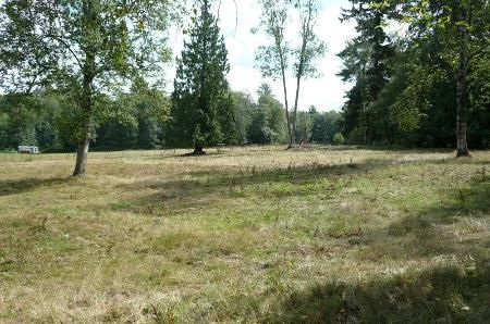 Main Photo: GORGEOUS 9.4 ACRE SITE FOR YOUR DREAM HOME - Go To Additional Information For Marketing Brochure