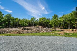 Photo 5: 21057 Highway 7 in Mushaboom: 35-Halifax County East Residential for sale (Halifax-Dartmouth)  : MLS®# 202215083