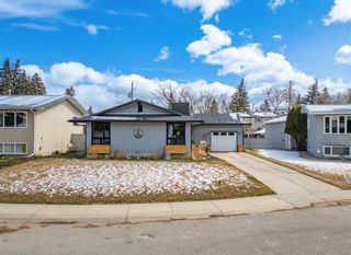 Photo 45: 643 Woodsworth Road SE in Calgary: Willow Park Detached for sale : MLS®# A2123810