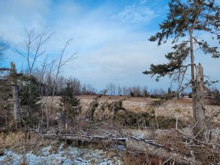 Photo 4: Lot 21-3 Waterside Drive in Waterside: 108-Rural Pictou County Vacant Land for sale (Northern Region)  : MLS®# 202400763