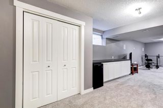 Photo 24: 107 Copperstone Boulevard SE in Calgary: Copperfield Detached for sale : MLS®# A1181475