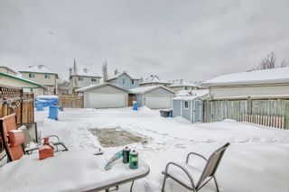 Photo 36: 218 Arbour Stone Place NW in Calgary: Arbour Lake Detached for sale : MLS®# A2033094