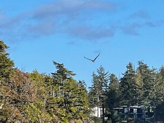 Photo 16: LOT 12 Marine Dr in Ucluelet: PA Ucluelet Land for sale (Port Alberni)  : MLS®# 947210