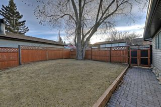 Photo 41: 7715 Hunterquay Way NW in Calgary: Huntington Hills Detached for sale : MLS®# A2101604