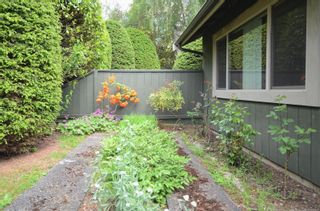 Photo 32: 3 7768 East Saanich Rd in Central Saanich: CS Saanichton Row/Townhouse for sale : MLS®# 963980