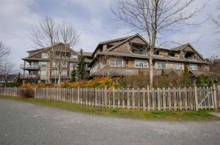 Photo 1: 311 250 SALTER Street in New Westminster: Queensborough Condo for sale in "PADDLERS LANDING" : MLS®# R2445205