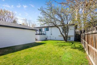 Photo 32: 4408 Bulyea Road NW in Calgary: Brentwood Detached for sale : MLS®# A2131423