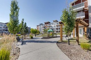 Photo 19: 7112 302 Skyview Ranch Drive NE in Calgary: Skyview Ranch Apartment for sale : MLS®# A2069910