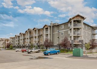 Main Photo: 4301 115 Prestwick Villas SE in Calgary: McKenzie Towne Apartment for sale : MLS®# A1241355