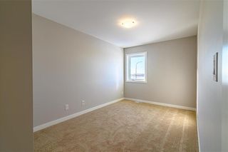 Photo 45: 6 Clarkleigh Crescent in Winnipeg: Highland Pointe Residential for sale (4E)  : MLS®# 202228129