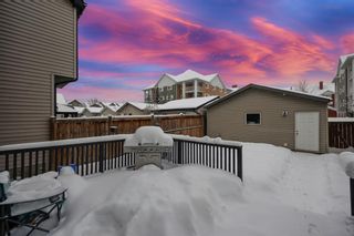 Photo 27: 22 Prestwick Place SE in Calgary: McKenzie Towne Detached for sale : MLS®# A2029398