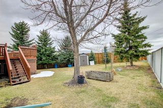 Photo 44: 68 Sunridge Place NW: Airdrie Detached for sale : MLS®# A1207048