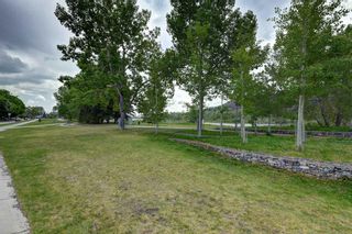 Photo 3: 119 34A Street NW in Calgary: Parkdale Detached for sale : MLS®# A2052692