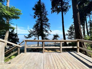 Photo 55: 4099 S Island Hwy in Campbell River: CR Campbell River South House for sale : MLS®# 912371