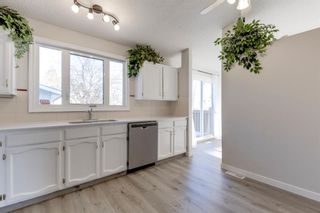 Photo 13: 120 Rundlecairn Rise NE in Calgary: Rundle Detached for sale : MLS®# A1167955