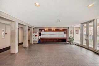 Photo 21: 302 1209 6 Street SW in Calgary: Beltline Apartment for sale : MLS®# A2127613