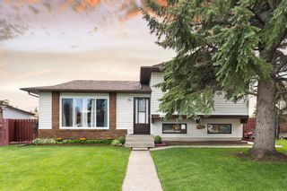 Photo 2: 331 Bedford Place NE in Calgary: Beddington Heights Detached for sale : MLS®# A2017221