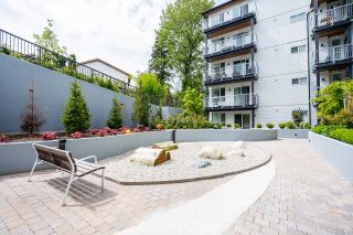 Photo 22: 225 3229 ST JOHNS Street in Port Moody: Port Moody Centre Condo for sale : MLS®# R2879834
