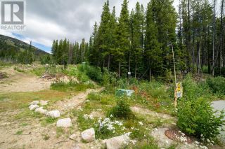 Photo 8: 369 BUCK Road in Oliver: Vacant Land for sale : MLS®# 200536