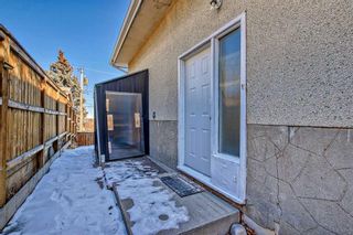 Photo 36: 1010 Hunterhaven Road NW in Calgary: Huntington Hills Full Duplex for sale : MLS®# A2131067