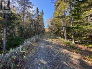 Photo 9: 9 Birchy Point in Campbellton: Vacant Land for sale : MLS®# 1267730