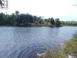 Photo 10: 92 LORIMER LAKE RD in McDougall: Vacant Land for sale : MLS®# X5880073