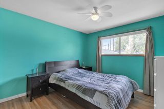 Photo 13: 1920 Matheson Drive NE in Calgary: Mayland Heights Detached for sale : MLS®# A2050479
