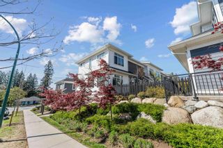 Main Photo: 162 1220 ROCKLIN Street in Coquitlam: Burke Mountain Townhouse for sale : MLS®# R2874197