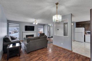 Photo 9: 255 Pinewind Road in Calgary: Pineridge Detached for sale : MLS®# A1189124