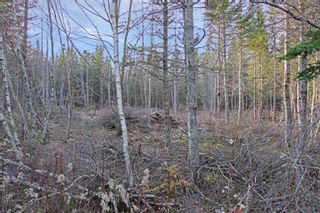 Photo 10: Lot Arlington Road in Mount Hanley: Annapolis County Vacant Land for sale (Annapolis Valley)  : MLS®# 202400387