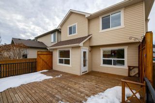 Photo 28: 135 Cranfield Circle SE in Calgary: Cranston Detached for sale : MLS®# A1176965