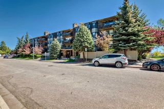 Main Photo: 207 3730 50 Street NW in Calgary: Varsity Apartment for sale : MLS®# A2137844