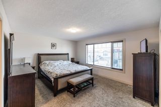Photo 17: 22 Royal Birch Way NW in Calgary: Royal Oak Detached for sale : MLS®# A2013837