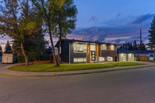 Photo 31: 10011 Warren Road SE in Calgary: Willow Park Detached for sale : MLS®# A1162186